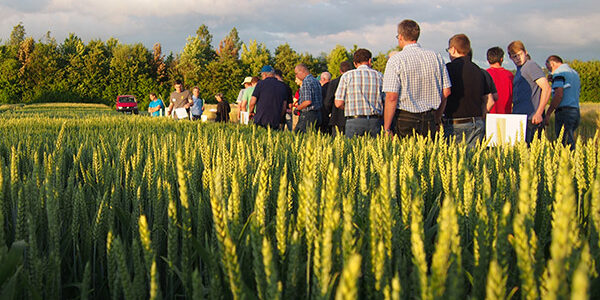 Klostermuehle_ABIP1996